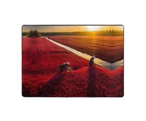 WBQLSL Tapis imprimé lycopène de 203,2 x 147,3 cm, pour salon, bureau, balcon, table de chevet, table basse