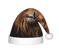 WBQLSL The Lion's Gaze Chapeaux de Noël pour enfants, fêtes de Noël, Halloween, spectacles sur scène et autres scènes de fête de vacances.