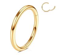 WBRWP Anneaux de nez à charnière en acier inoxydable 316L : 20 g, 18 g, 16 g, 14 g pour femmes et hommes, anneaux segmentés, anneaux de lèvre, anneaux de nez, hélix, cartilage, rook, boucles