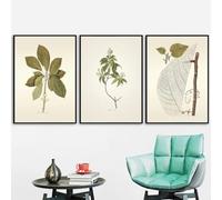 WBYZAC 3 Pièces-Affiche de Plante Abstraite Art Mural Vintage Toile Affiches et Impressions Nordiques Images Murales pour Salon Cuisine Décoration de Chambre-50 * 70cm/(20 * 27 pouces) Sans cadre