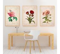 WBYZAC 3 Pièces-Peinture sur Toile Botanique Florale Abstraite Art Mural Pivoine Affiche Murale Rose Fleur Images Nordique Fille Chambre Cuisine Décor de Chambre-40 * 60cm/(16 * 24 pouces) Sans cadre