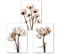 WBYZAC Art Mural,Ensemble de 3-Affiche Abstraite de Tulipes et Perroquets Style Bohème Peinture sur Toile Décoration Murale pour Salon Cuisine Chambre à Coucher-40 * 50cm/16 * 20 pouce(sans cadre)
