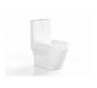 WC à poser blanc brillant en céramique - Evacuation verticale - NAGILAM