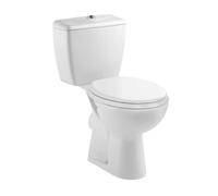 Jacob Delafon Pack WC Eolia à poser – Sortie horizontale – Sans bride – 3/6 L