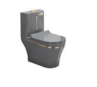 WC en céramique - Chaise percée moderne à chasse d'eau siphonique avec anti-odeur, design peu encombrant pour salle de bain, hauteur 300 mm