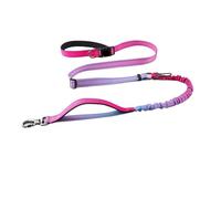 WCDFTASL Ceinture de Marche Mains Libres for Chien avec Laisse élastique, Laisse de Course à Taille réglable for Chiens de Taille Moyenne et Grande(F)