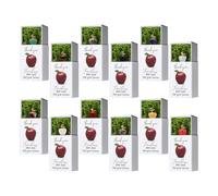 Wcybym Souvenir Remerciement Enseignant,Ornements en Forme de Fruit pour Chaussettes de Noël avec Boîte | Cadeau pour élèves garçons filles école classe - Remise de Diplôme Salle de Classe Élèves