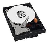 WD AV-GP WD3200AVVS - Disque dur - 320 Go - interne - 3.5" - SATA 3Gb/s - mémoire tampon : 8 Mo G