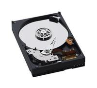 WD AV WD1600AVJB - Disque dur - 160 Go - interne - 3.5" - ATA-100 - 7200 tours/min - mémoire tampon : 8 Mo