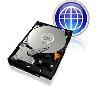WD Blue Desktop WD3200AAJB Disque dur interne 3.5'' PATA 7200 tours/min Mmoire cache 8Mo 320 Go