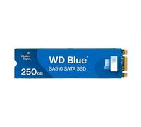 WD Blue SA510 WDS250G3B0B - SSD - 250 Go - interne - M.2 2280 - SATA 6Gb/s - bleu
