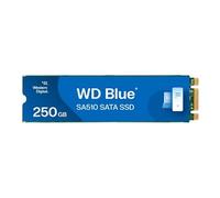 Western Digital Blue SA510 M.2 250 Go Série ATA III