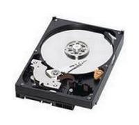 WD Caviar Green WD6400AAVS - Disque Dur - Disque Dur - 640 Go - Interne - 8,9 cm (3.5) - S-ATA2 - Cache 8Mo (WD6400AAVS)
