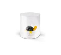 WD LIFESTYLE Verre à Bec Tortue Transparent