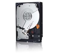 WD RE4 WD2503ABYX - Disque dur - 250 Go - interne - 3.5" - SATA 3Gb/s - 7200 tours/min - mémoire tampon : 64 Mo