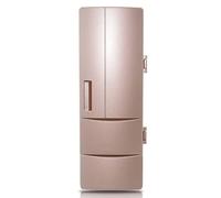 Wdbild Réfrigérateur électrique USB à double usage pour le bureau, réfrigérateur à boissons, congélateur, petit réfrigérateur compact pour porte de réfrigérateur à boissons unisexe
