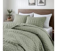 WDCOZY Parure de lit 2 pièces pour lit Simple avec taie d'oreiller, Couvre-lit léger et Doux, Toutes Saisons, Printemps été, Vert Sauge, 172,7 x 228,6 cm