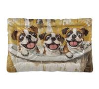 WDdZzyy Art Boxer Tapis de bain vintage lavable doux et confortable avec fond antidérapant pour chiens de grande taille et moyenne 91,4 x 61 cm