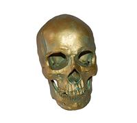 Wdfnexalai Lifesize 1:1 Crâne humain en résine Modèle anatomique réaliste Squelette Bronze antique 1, Crâne en laiton antique Bronze