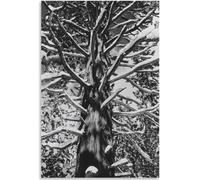 WDHBI HEKA Célèbre Affiche d’Ansel Adams Exposition de cèdre Art Mural Peinture Moderne sur Toile Estampe d’Ansel Adams pour la décoration du Salon Image 15x20cmx1 Cadre NO