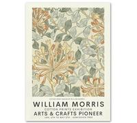 WDHBI HEKA Célèbre William Morris Wall Art Plant Posters Impressions Rétro William Morris Peinture sur Toile pour Le Salon Home Decor Photos 35x50cm sans Cadre