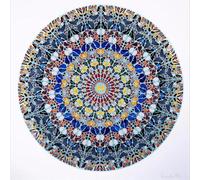 WDHBI HEKA Damien Hirst Wall Art Axial Symétrique Cercle Affiche Moderne Toile Peinture Damien Hirst Impression pour Salon Décoration Intérieure Photo 50x50cmx1 sans Cadre