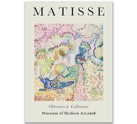 WDHBI HEKA Henri Matisse Poster The Museum Art mural Fauvisme Impression sur toile Peinture abstraite rétro pour salon 40 x 50 cm Sans cadre