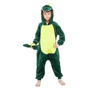 WDRHC Enfant Ensemble de Pyjama Licorne Grenouillère Animaux Romper Pajamas Onesie Animal Combinaison Costume Vêtement de Nuit en Flanelles Soirée Noël Déguisement Fille Garçon Dinosaure Vert