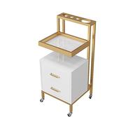 WDSOPK Hairdressing Trolley Beauty Salon Professional Tool Cart with Hair Dryer Storage Rack 2 Drawers Guardrail High End Utility Cart(Gold+White)