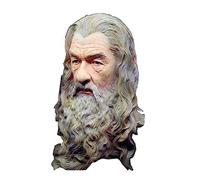 WDSOPK Lord of The Rings Sculpture, Gandalf Statue Hobbit Master Bust Avatar Ornaments Desktop Decorations Resin Crafts 30 Cm(B)