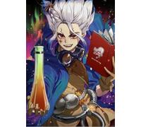 WDZFF 1000 pièces ，Colorful Puzzles ，Photos ，Gifts ，Japanese Animes Dr.Stone Ishigami ，Jeux Et Jouets Personnalisés pour Enfants Et Adultes - Kx293Zs