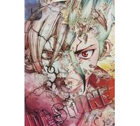 WDZFF 1000 pièces ，Colorful Puzzles ，Photos ，Gifts ，Japanese Animes Dr.Stone Ishigami ，Jeux Et Jouets Personnalisés pour Enfants Et Adultes - Kx292Zs