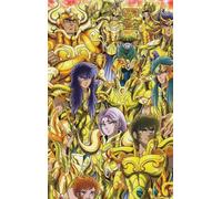 WDZFF 1000 Pièces Puzzle,Japanese Animes Saint Seiyas,Colourful Irregular Puzzle,Jouets Éducatifs pour Enfants Zq205Zp