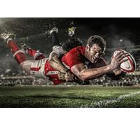 WDZFF Puzzle 1000 Pièces Rugby Sport Poster Colorful Ability Game pour Toute La Famille Adulte Xw85Kp