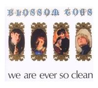 We Are Ever So Clean – CD – Sunbeam by Raleigh