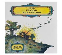 13th Floor Elevators – We Are Not Live – Vinyle
