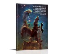 We Are Part of This Universe NDT Famous Poster motivationnel Peinture décorative sur toile pour salon, chambre à coucher, art mural, impression d'image moderne, décoration de chambre familiale, 40 x