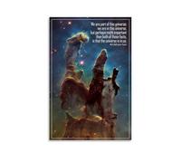 We Are Part of This Universe NDT Famous Poster motivationnel Peinture décorative sur toile pour salon, chambre à coucher, art mural, impression d'image moderne, décoration de chambre familiale, 30 x 4