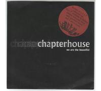 We Are The Beautiful [7" VINYL]