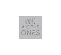 We Are The Ones
