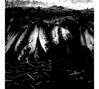 We Are The Plague Vinyle