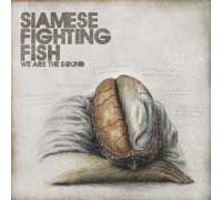 Siamese Fighting Fish - We are The Sound [Import]