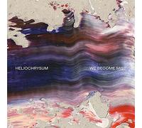 We Become Mist [Vinyl]