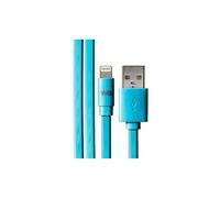 WE - Câble Lightning - Lightning mâle pour USB mâle - 1 m - bleu - plat