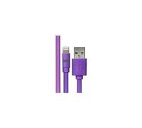 WE - Câble Lightning - Lightning mâle pour USB mâle - 1 m - violet - plat
