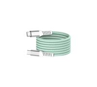 WE câble USB-C/USB-C magnétique, USB2,0-20V/3A/60W, 1mètre Vert