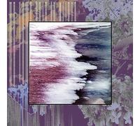 Ashbringer – We Came Here to Grieve – Vinyle LP (Neuf)