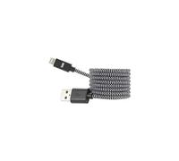 We Connect WE Câble USB/Lightning pour iPad/iPod/iPhone Noir