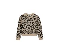 WE Fashion Pull-over umbra / cappuccino / noir, Taille 170-176