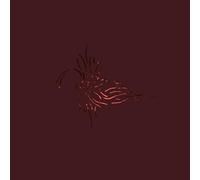 We Like We - Next to The Entire All [Import]